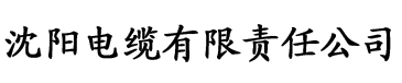 其其电影院电缆厂logo